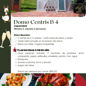 Domo Centris B4 - Plan Fin de Año
