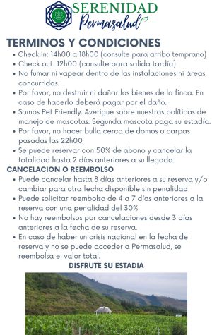 terminos y condiciones 2 dias